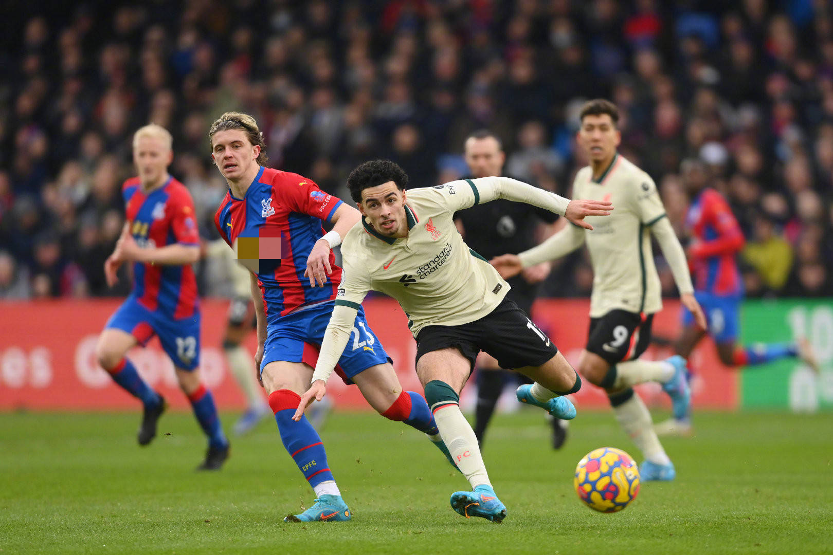 罗一脚从容 罗一脚从容